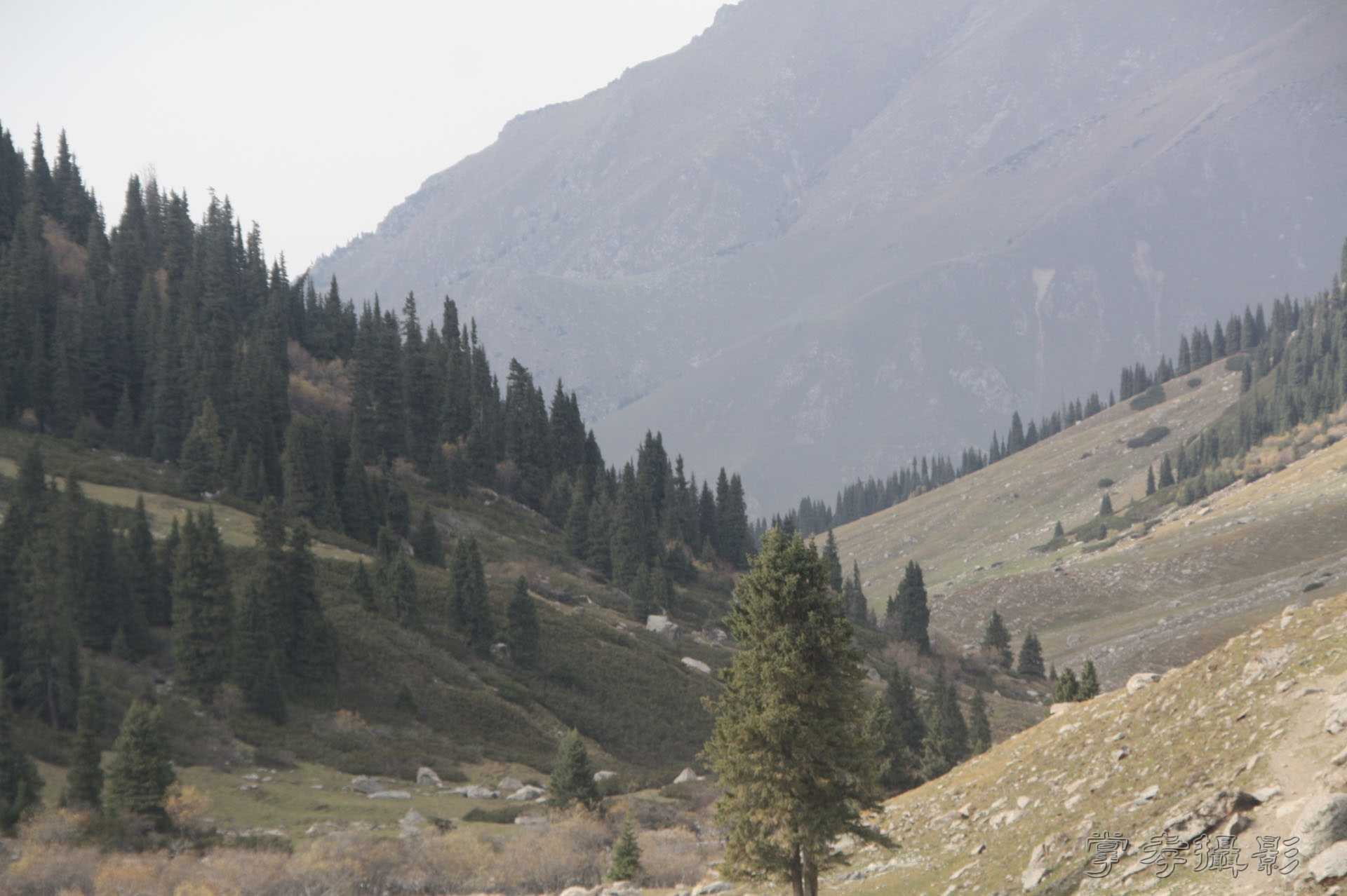 ͽ����Խ��ɽ����̾�����½� (2604).jpg