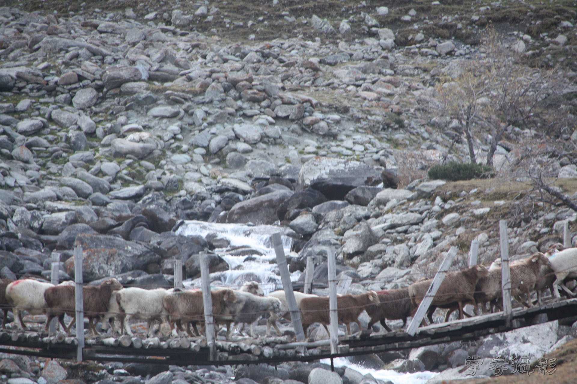 ͽ����Խ��ɽ����̾�����½� (2621).jpg