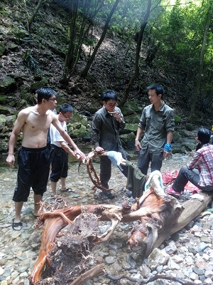 ���������о����������