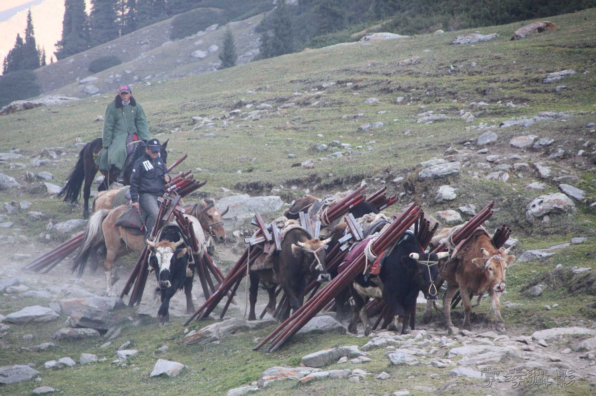 ͽ����Խ��ɽ����̾�����½� (2637).jpg