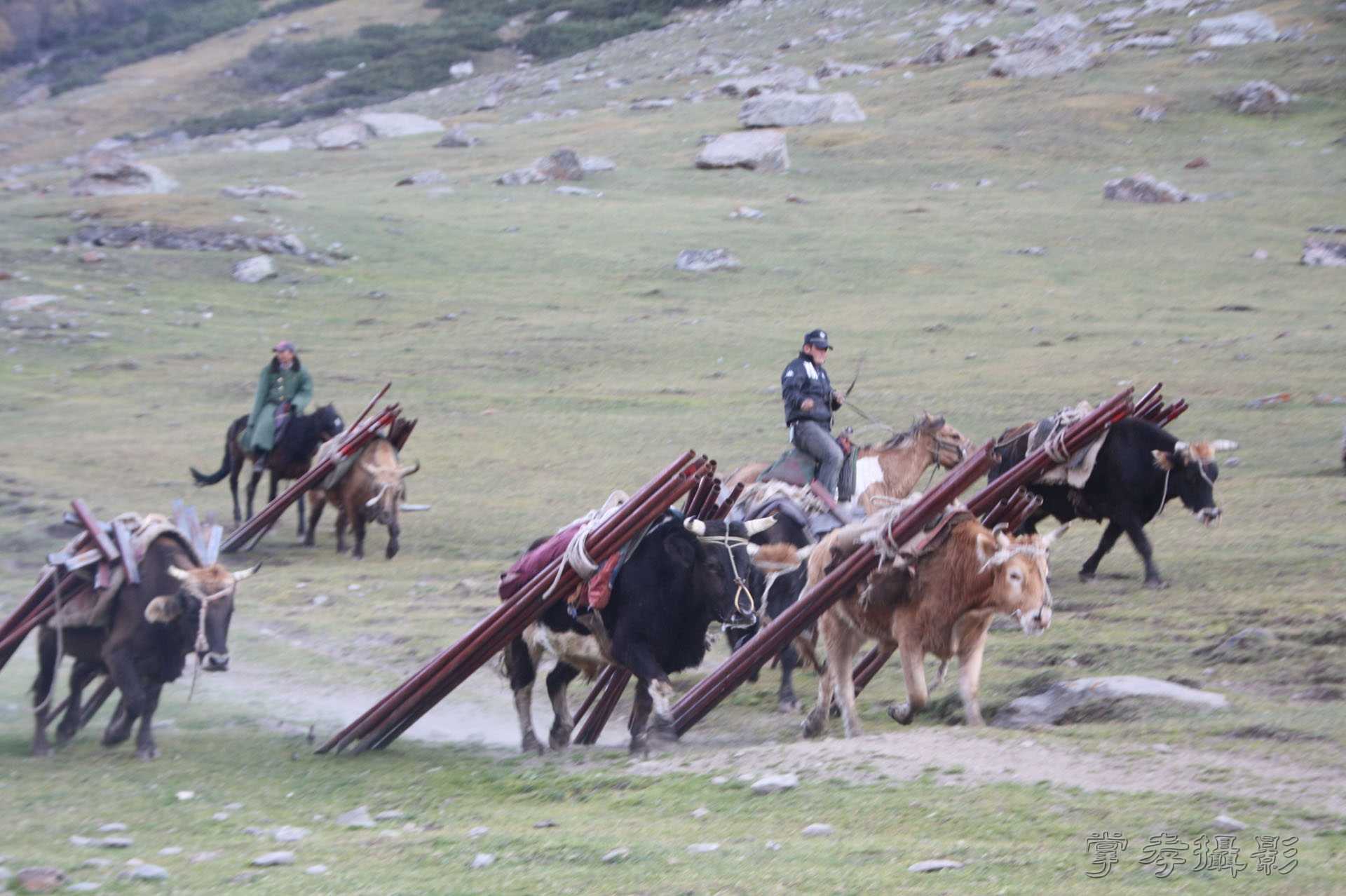 ͽ����Խ��ɽ����̾�����½� (2639).jpg