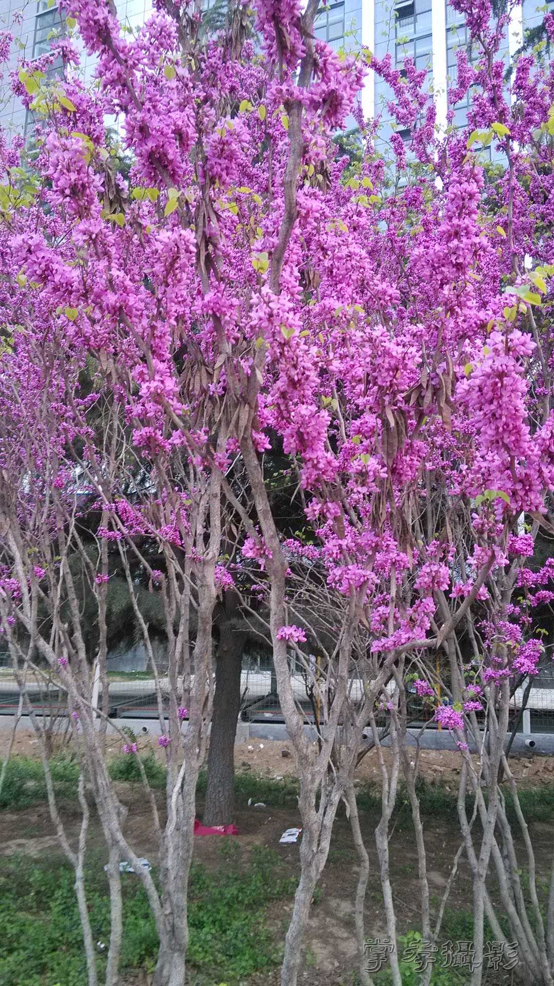 2014֣������������ (4).jpg