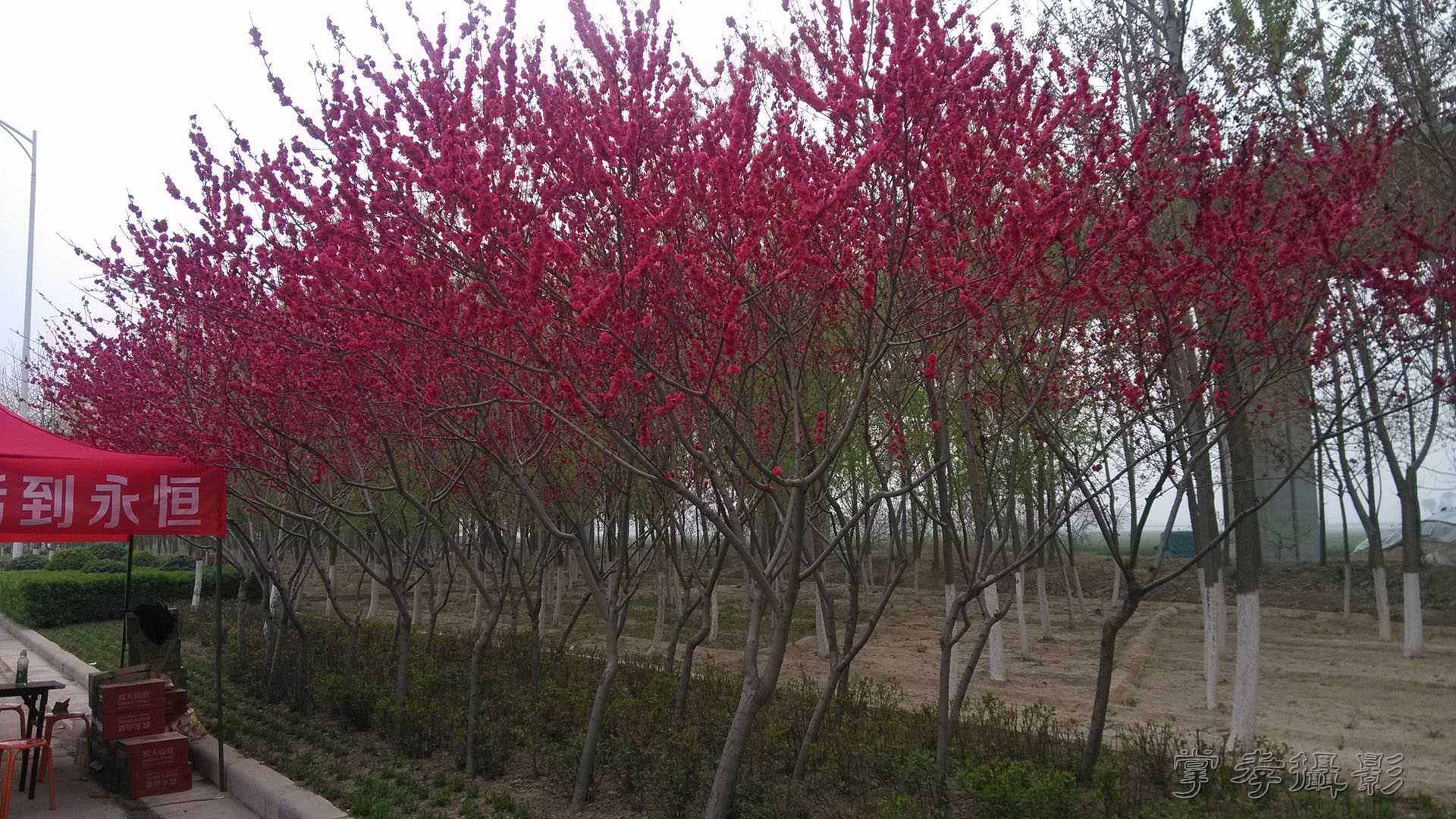 2014֣������������ (38).jpg