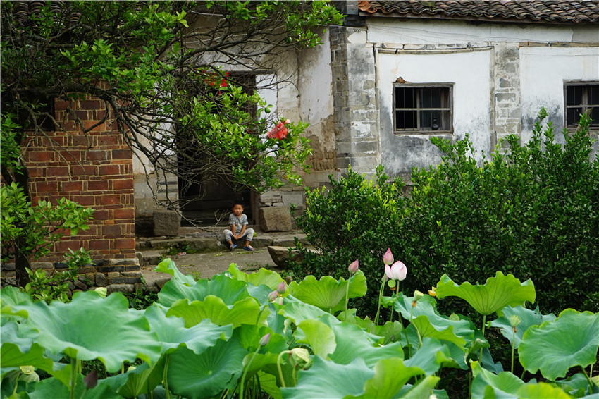 DSC01001 - ����_����.jpg