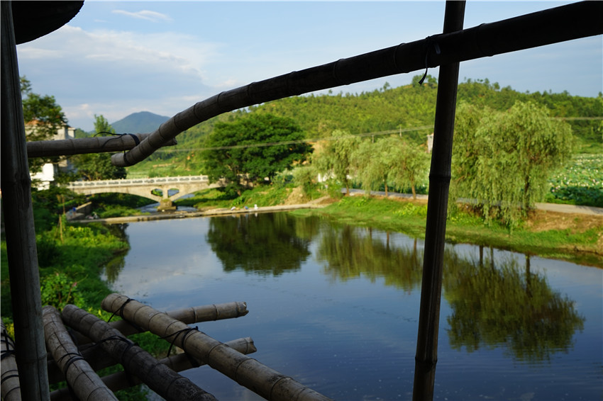 DSC01007 - ����_����.jpg