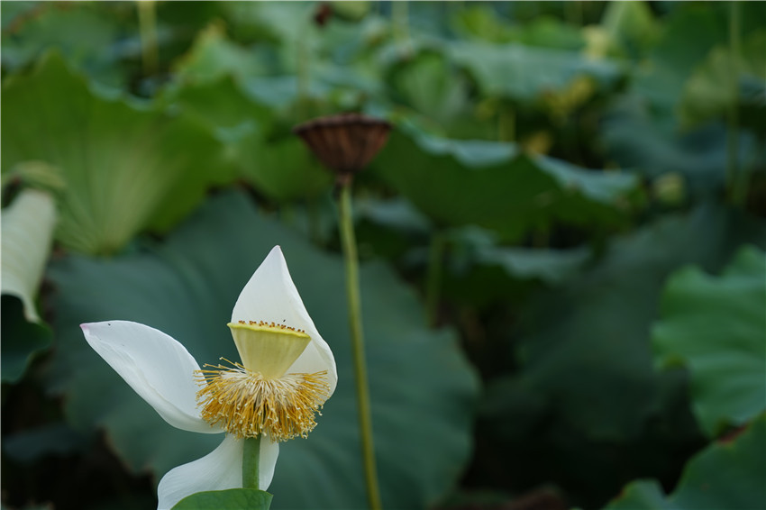 DSC01025 - ����_����.jpg