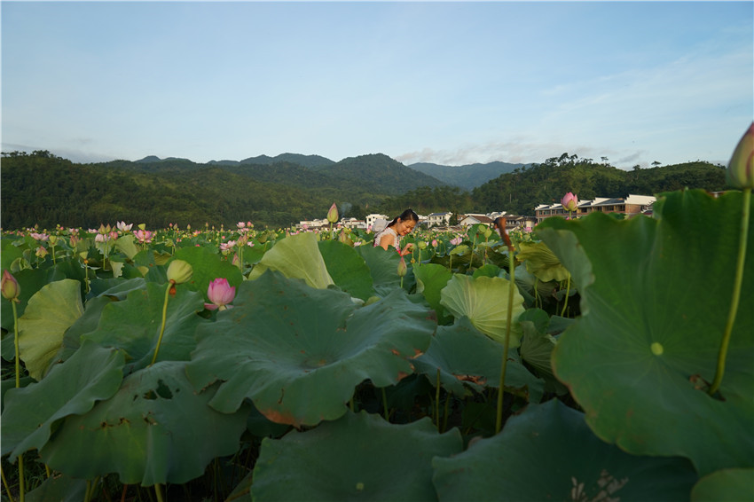 DSC01100 - ����_����.jpg