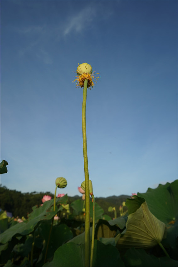 DSC01121 - ����_����.jpg