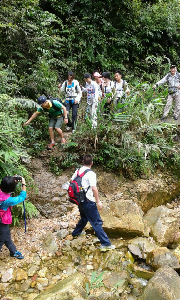 ��ֻ�ǿ�ʼ ������·�ں���