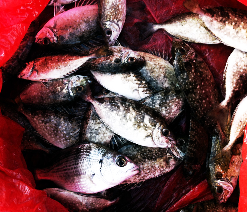 ��Ƭ 055 ����.jpg