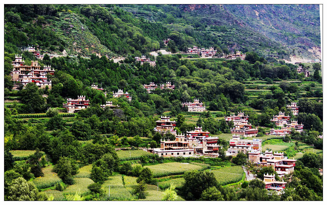 ��Ƭ 549_nEO_IMG.jpg