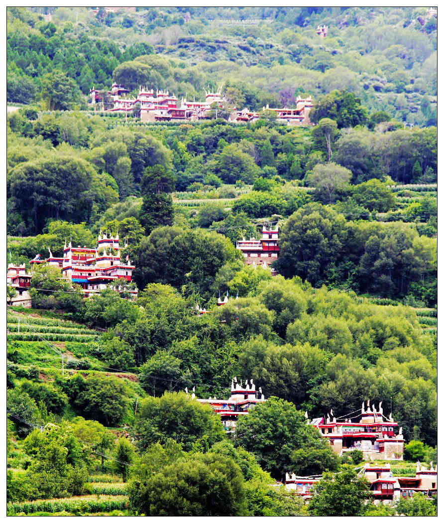 ��Ƭ 534_nEO_IMG.jpg