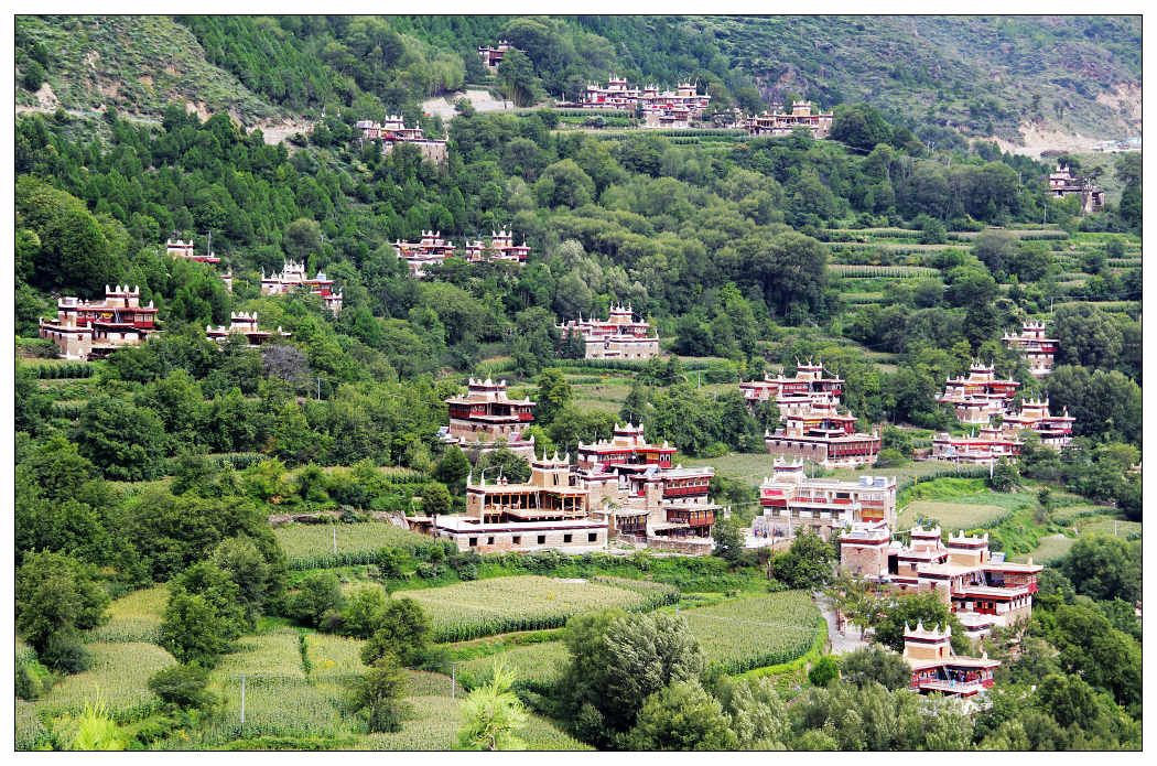 ��Ƭ 550_nEO_IMG.jpg