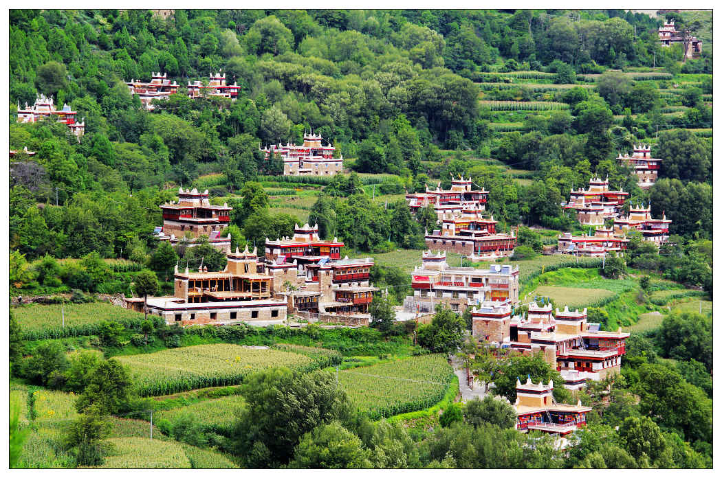 ��Ƭ 553_nEO_IMG.jpg