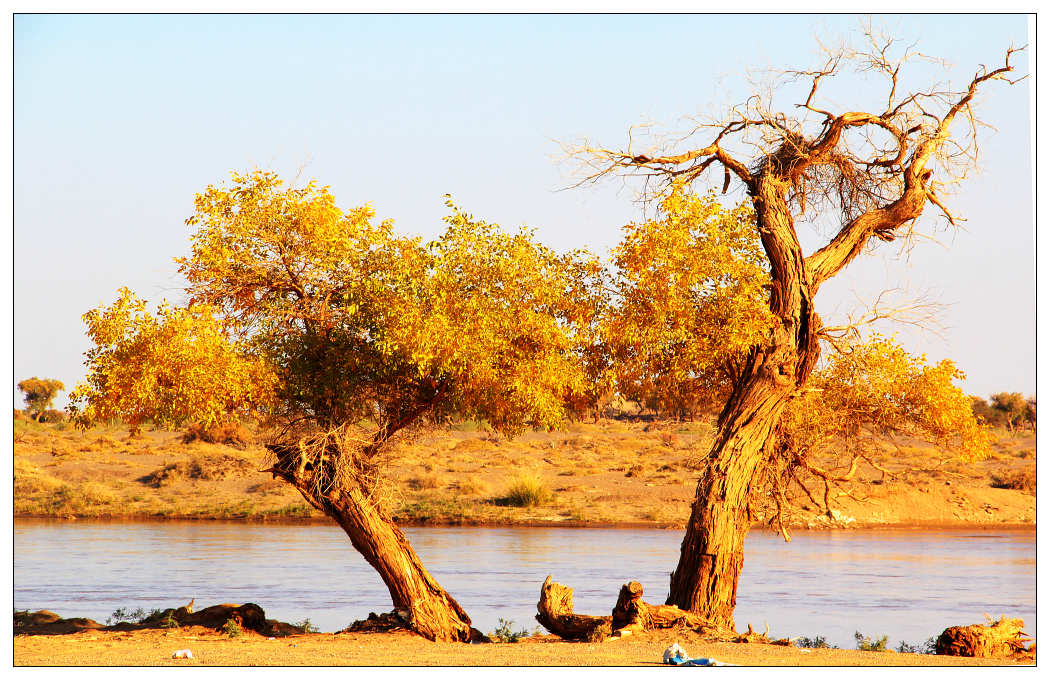 �������ػ͡������3 338_nEO_IMG.jpg