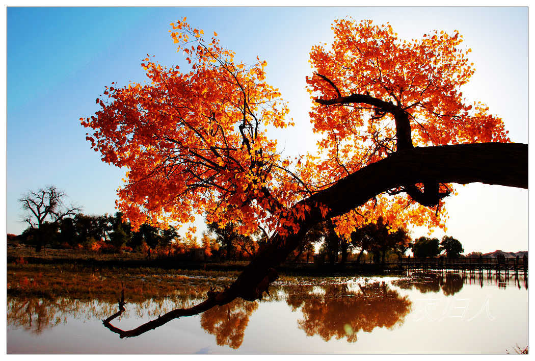 �������ػ͡������3 513_nEO_IMG.jpg