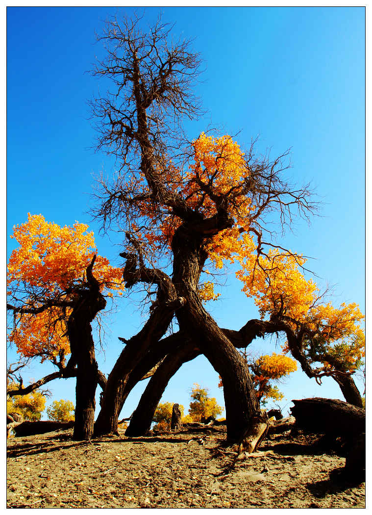 �������ػ͡������3 597_nEO_IMG.jpg