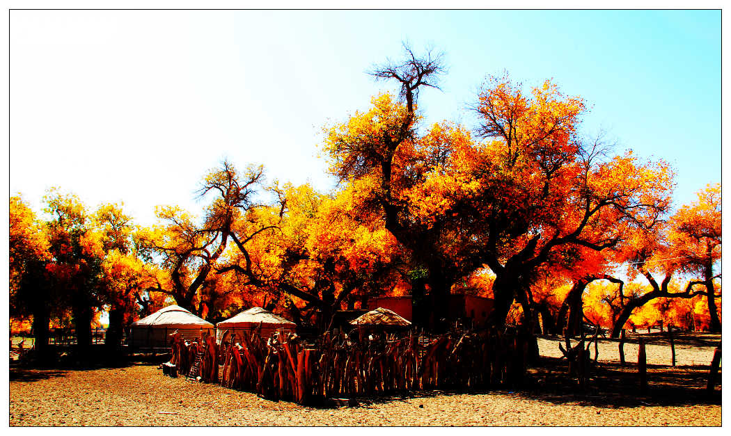 �������ػ͡������3 613_nEO_IMG.jpg