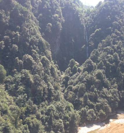 �����ŷ羰