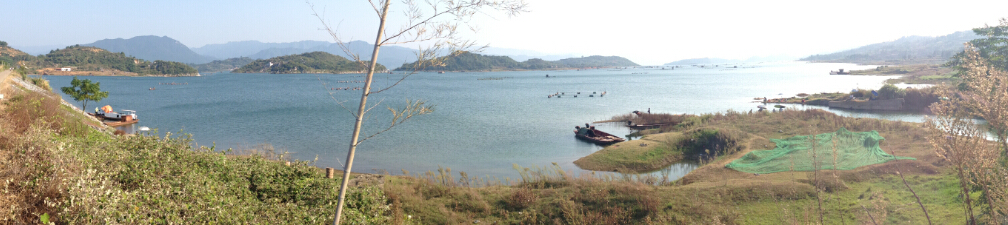 �������޵�¶Ӫ��