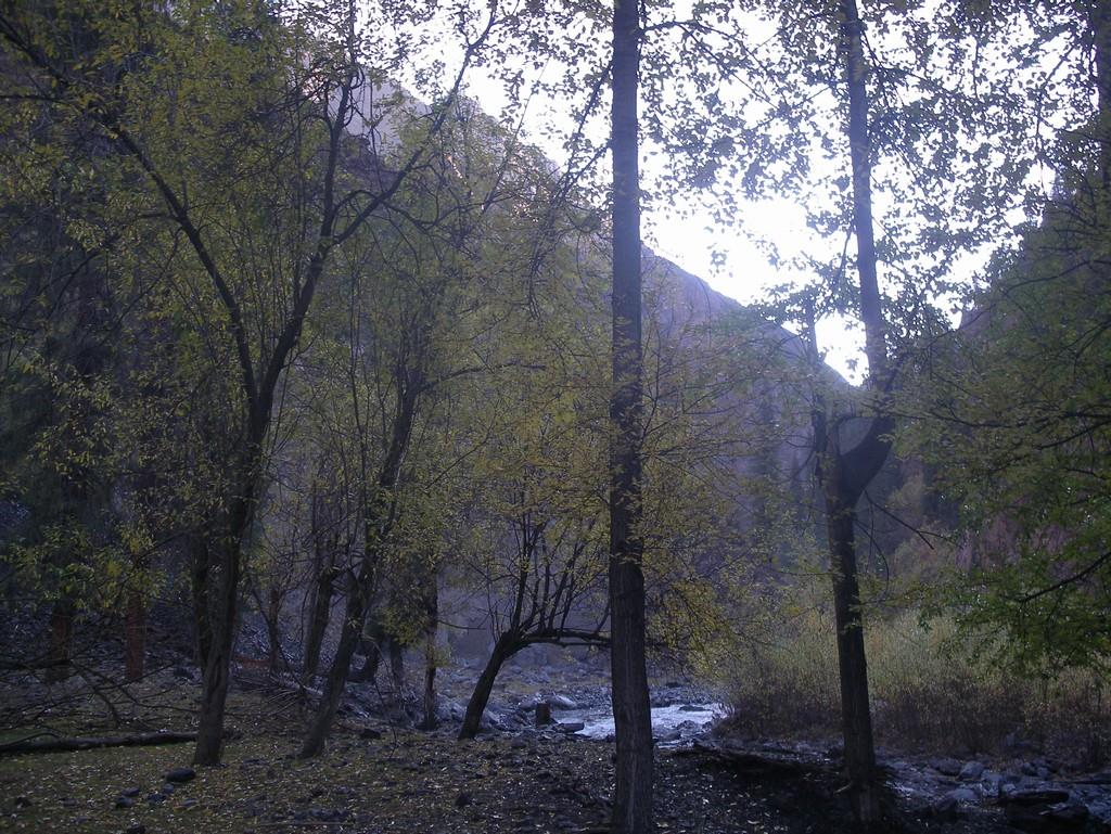 ̨������Ӫ��