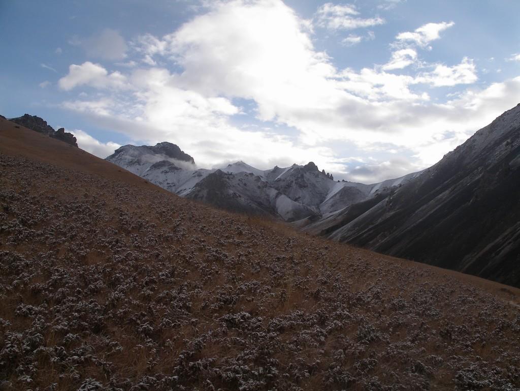 ���ɫ�Ĵ��ԭ