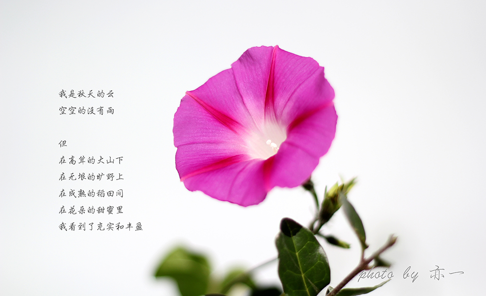 �賿��㣬·������������һ�������������������ͼ��緹��͵���˶仨��������·��