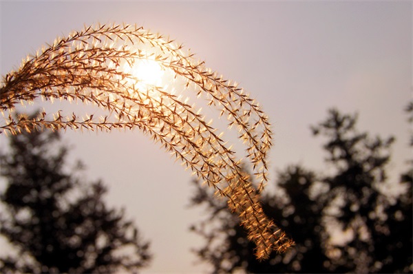 ������«έ