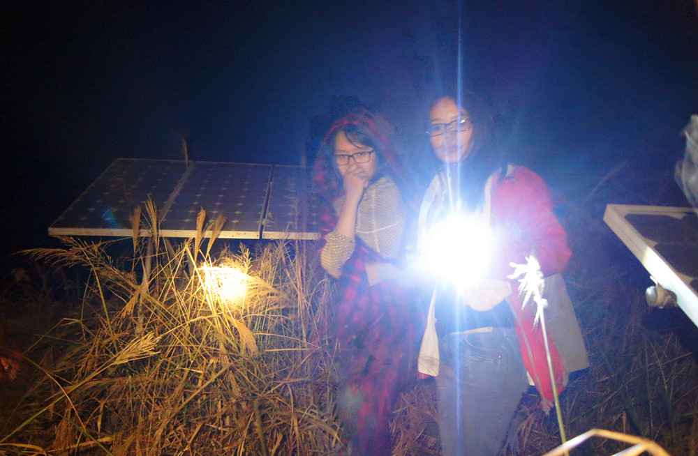 ��~~������ʲô~~