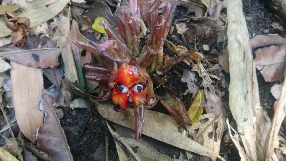 С��˵���Ѿ�S�������ˣ���֪�涨�١���