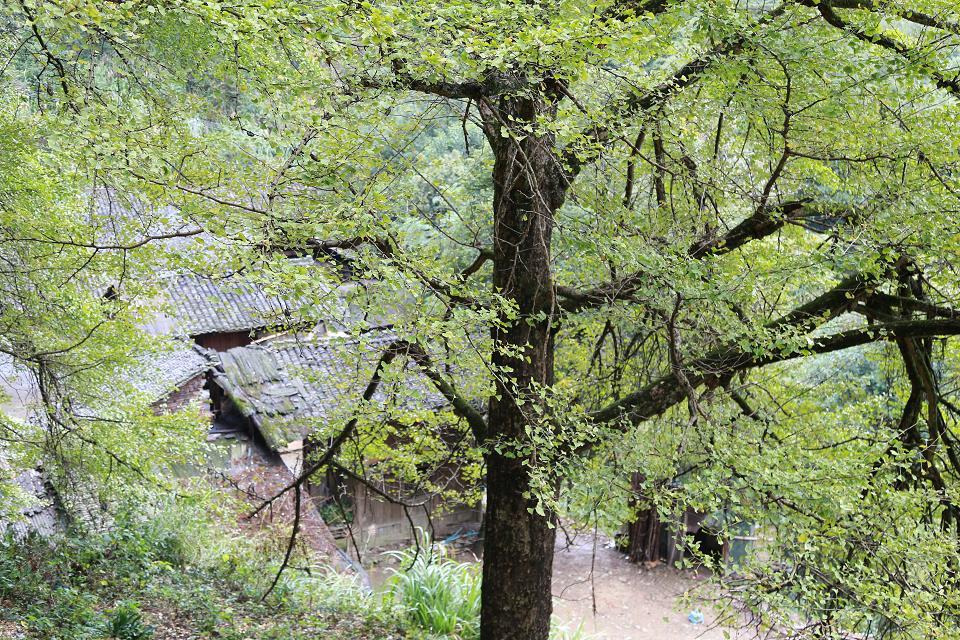 �й����ӵ�һ��