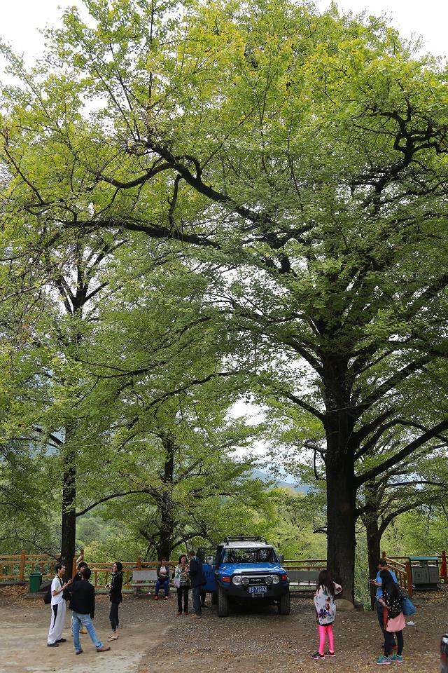 �й����ӵ�һ��