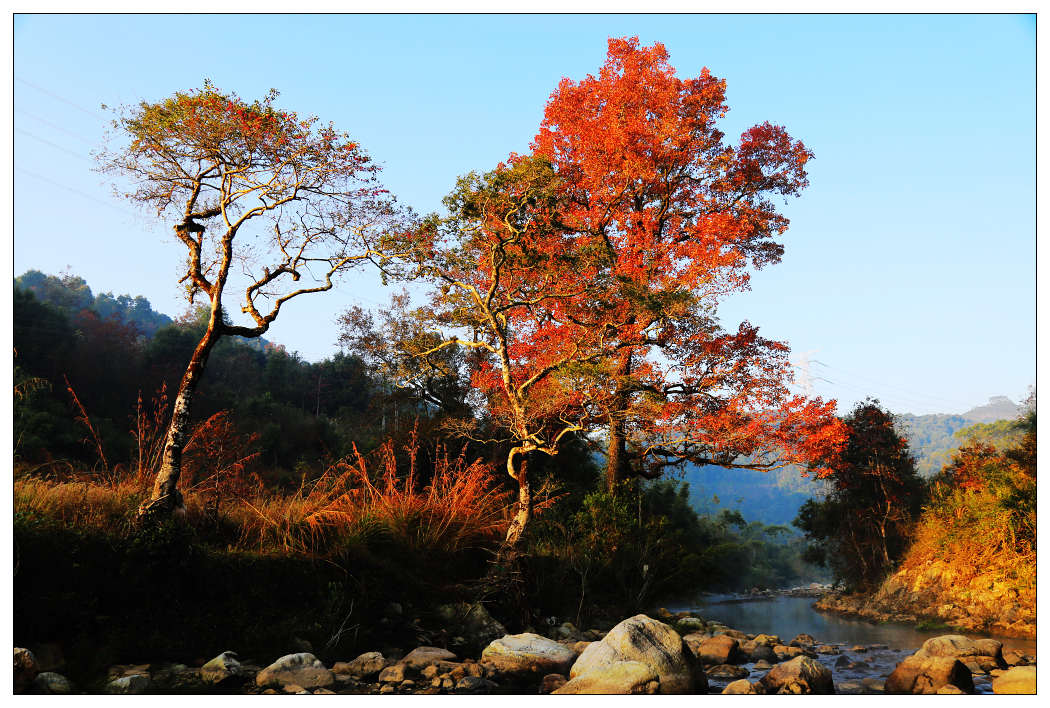 ��Ƭ 384_nEO_IMG.jpg