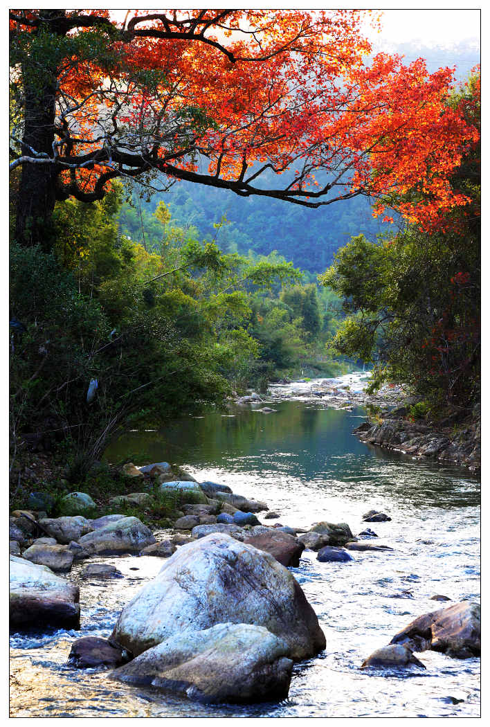 ��Ƭ 321_nEO_IMG.jpg