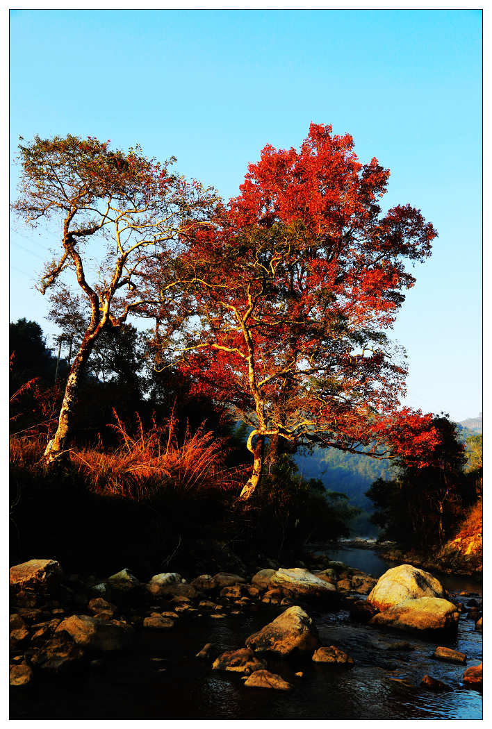 ��Ƭ 387_nEO_IMG.jpg