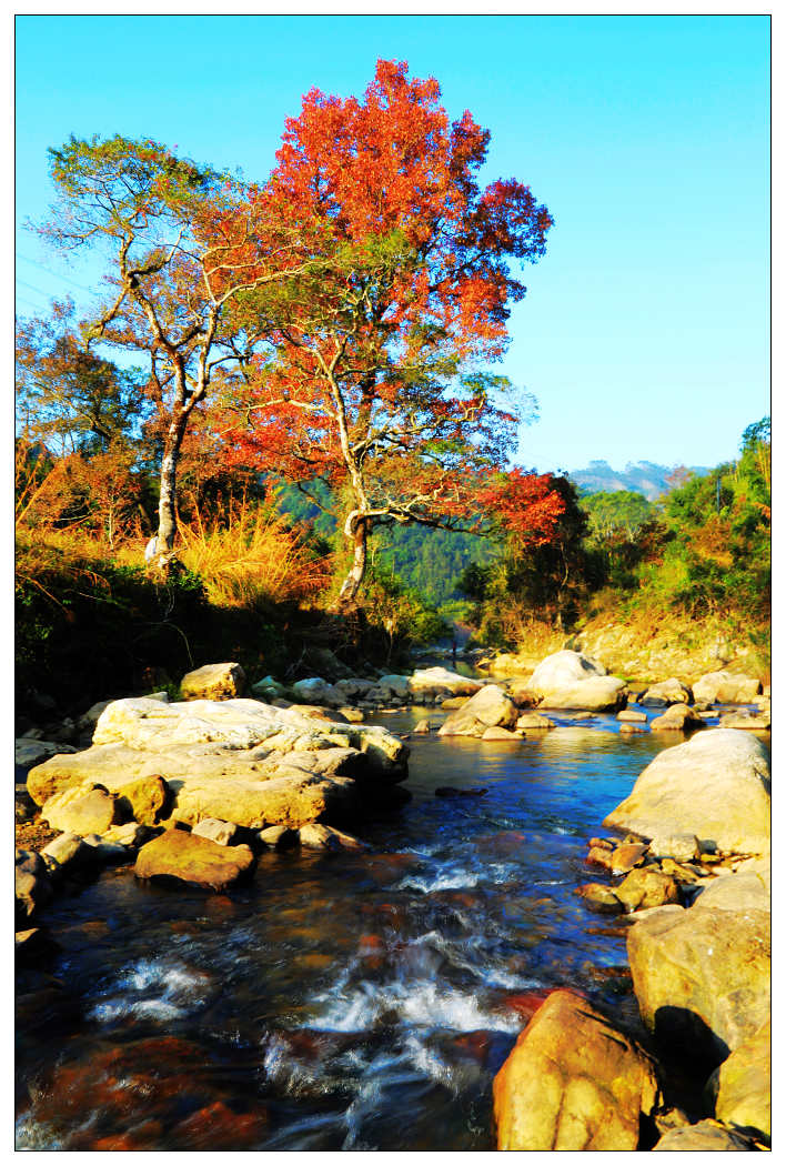 ��Ƭ 468_nEO_IMG.jpg