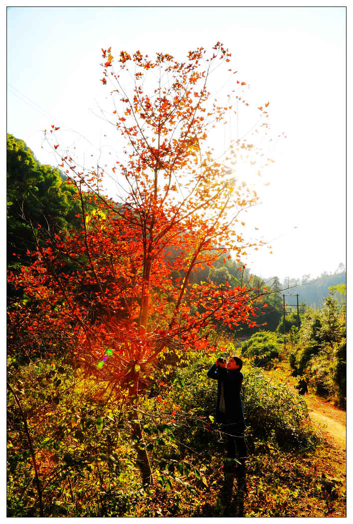 ��Ƭ 203_nEO_IMG.jpg