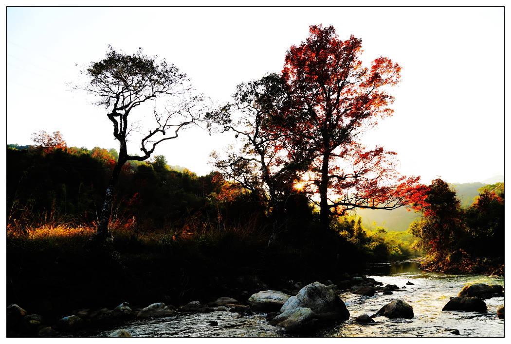 ��Ƭ 276_nEO_IMG.jpg