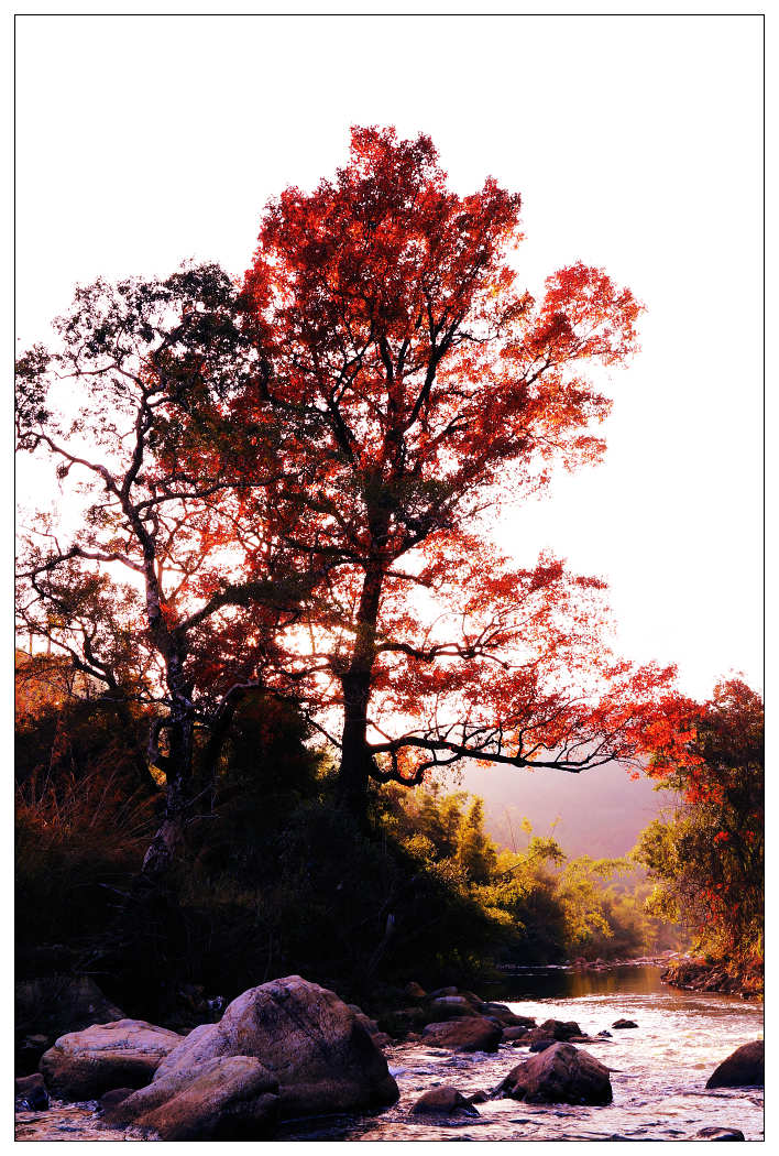 ��Ƭ 242_nEO_IMG.jpg