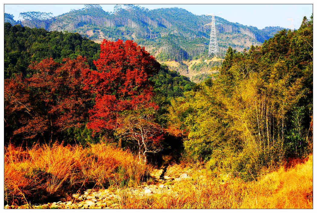 ��Ƭ 536_nEO_IMG.jpg