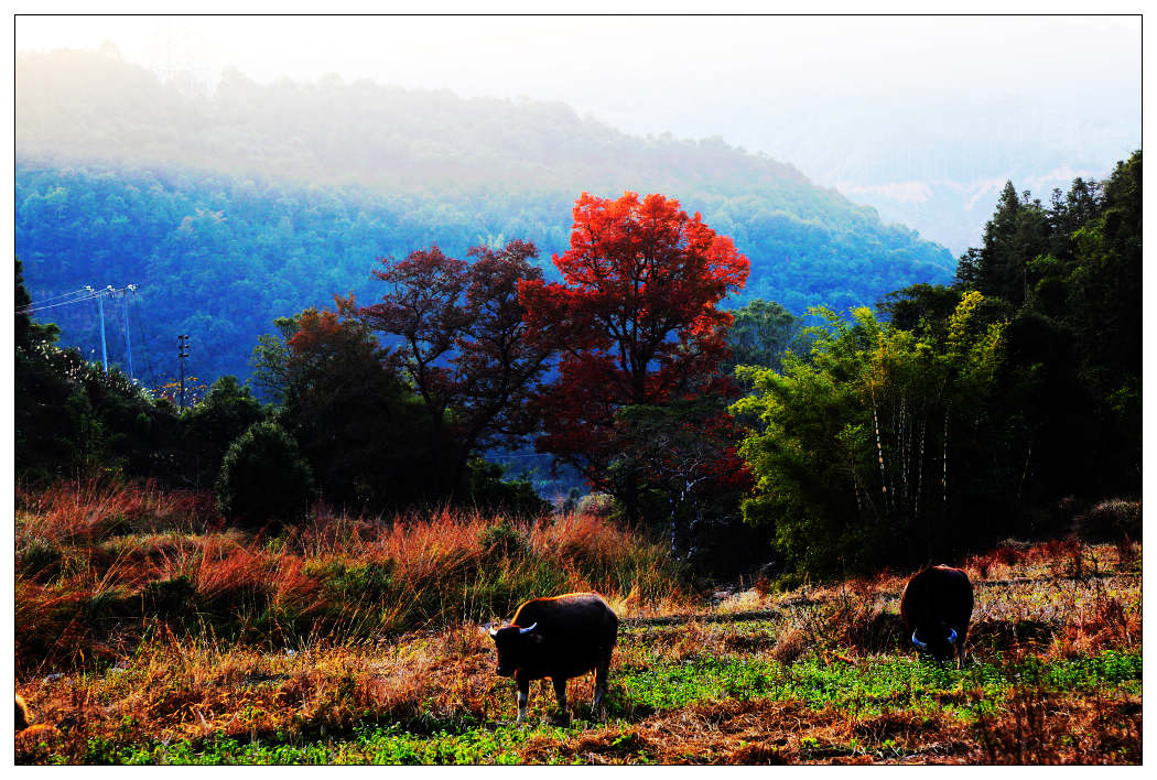 ��Ƭ 337_nEO_IMG.jpg