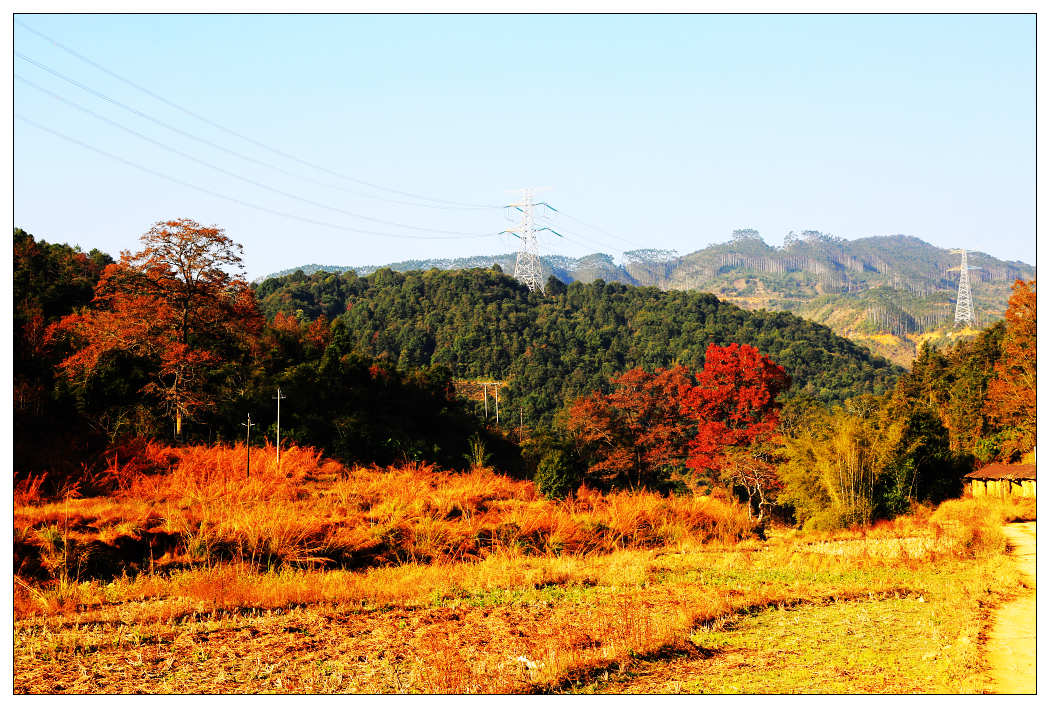 ��Ƭ 542_nEO_IMG.jpg