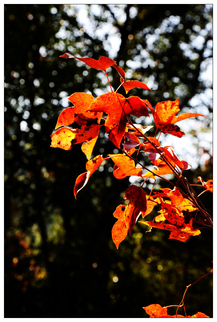 ��Ƭ 145_nEO_IMG.jpg