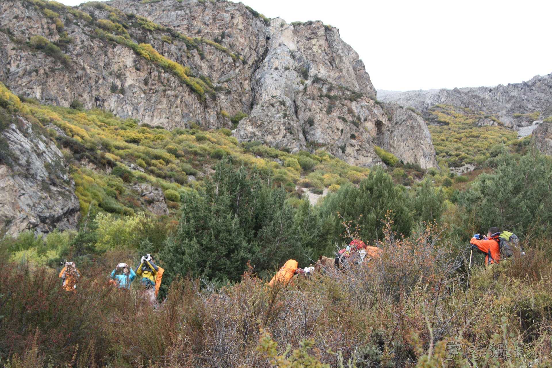 ͽ����װ��Խ���ɽ�� (99).jpg