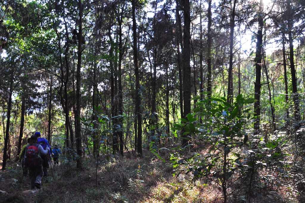 DSC_4448 - ����.jpg