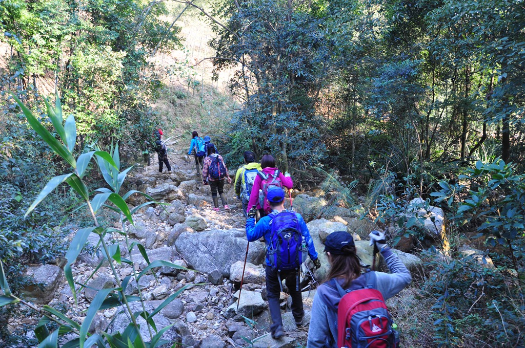 DSC_4452 - ����.jpg