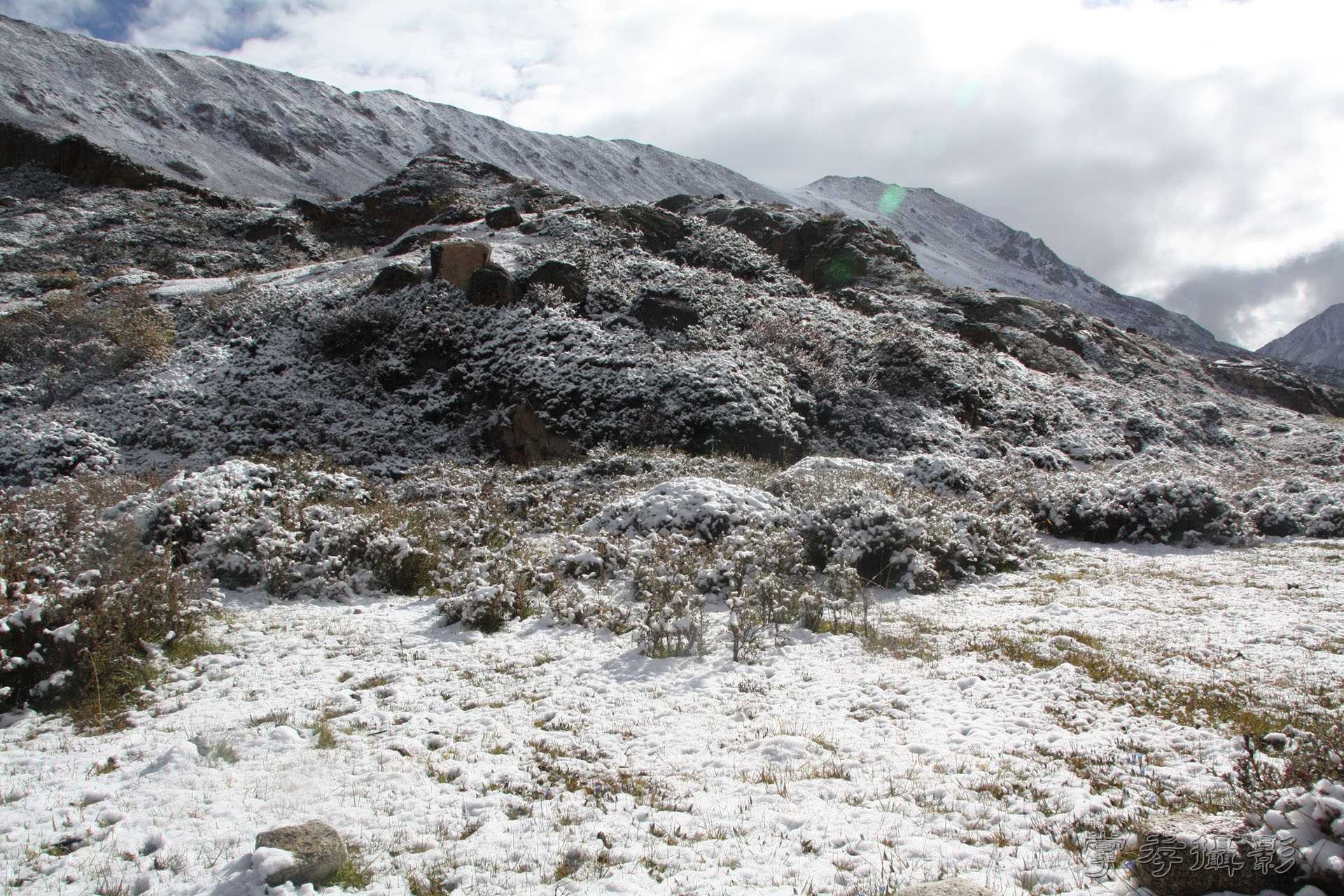 ͽ����װ��Խ���ɽ�� (167).jpg