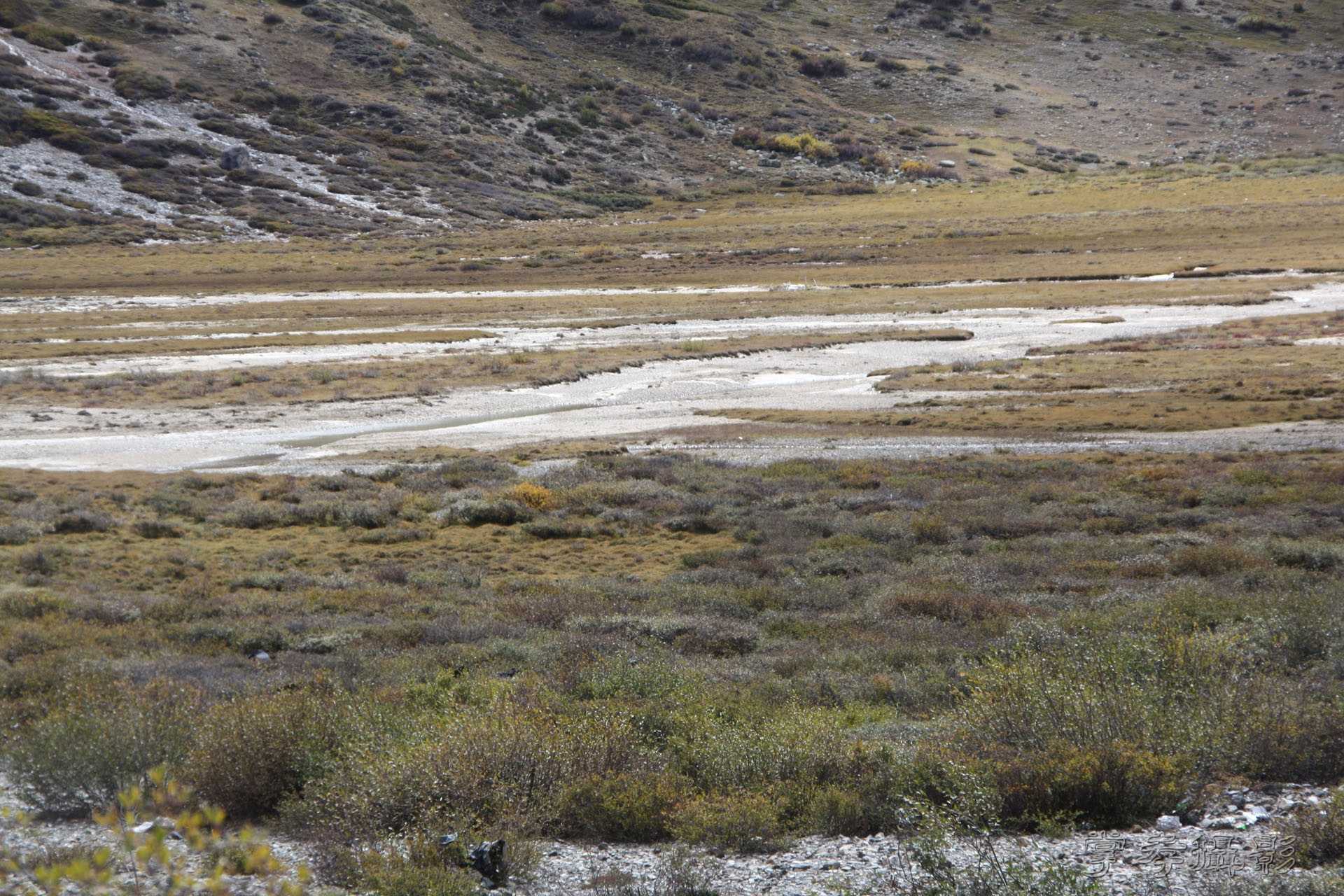 ͽ����װ��Խ���ɽ�� (273).jpg