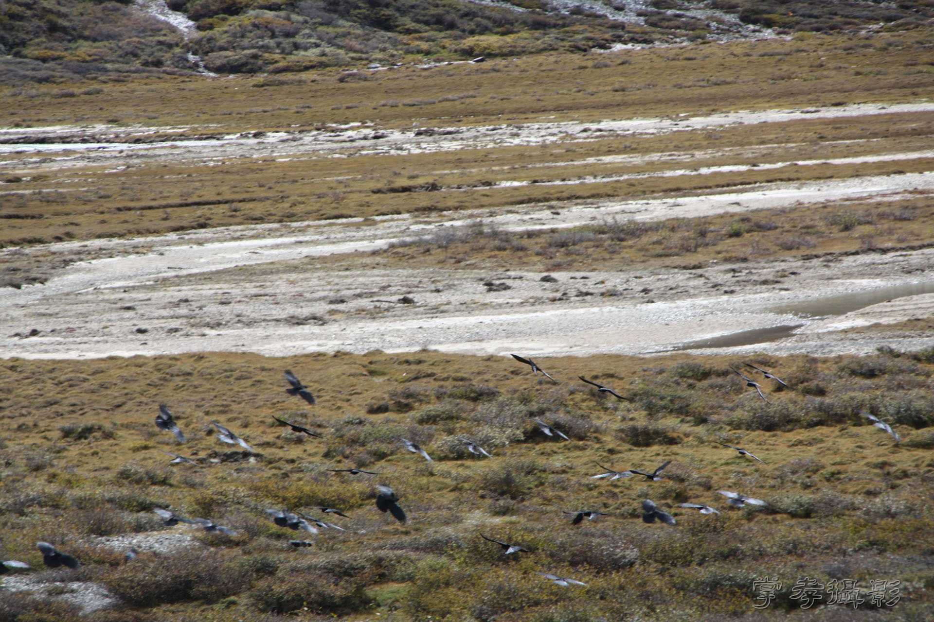 ͽ����װ��Խ���ɽ�� (276).jpg