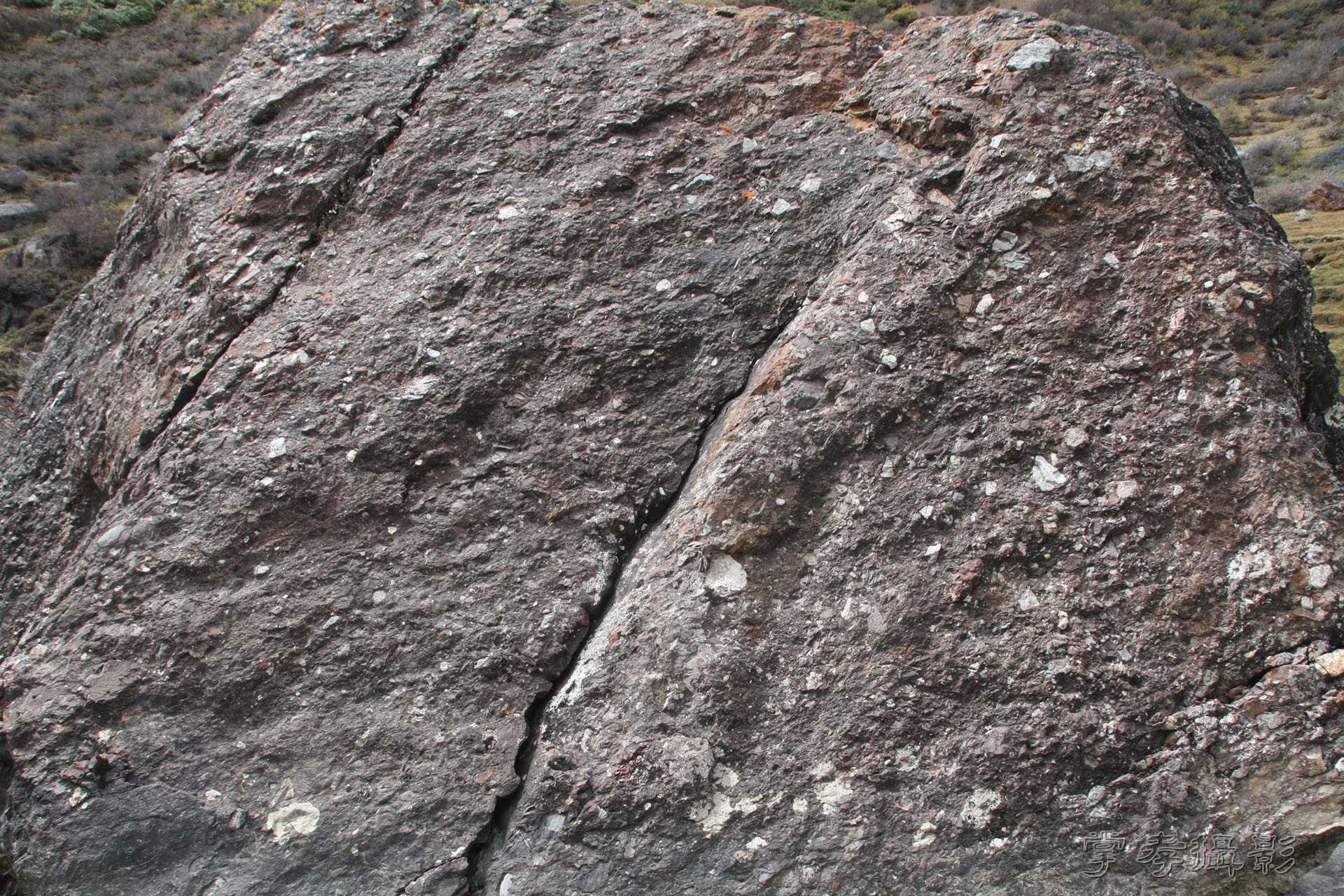 ͽ����װ��Խ���ɽ�� (287).jpg